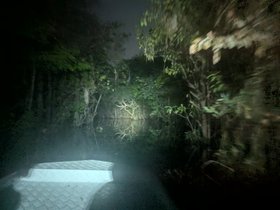 PXL_20240720_225022922.NIGHT.jpg