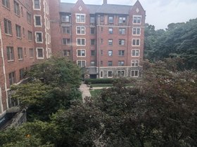 PXL_20240817_171230516.jpg