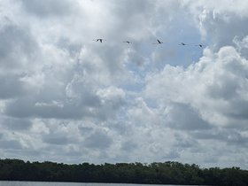 PXL_20240910_152806125.jpg